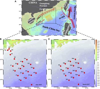 Radium-Derived Water Mixing and Associated Nutrient in the Northern South China Sea